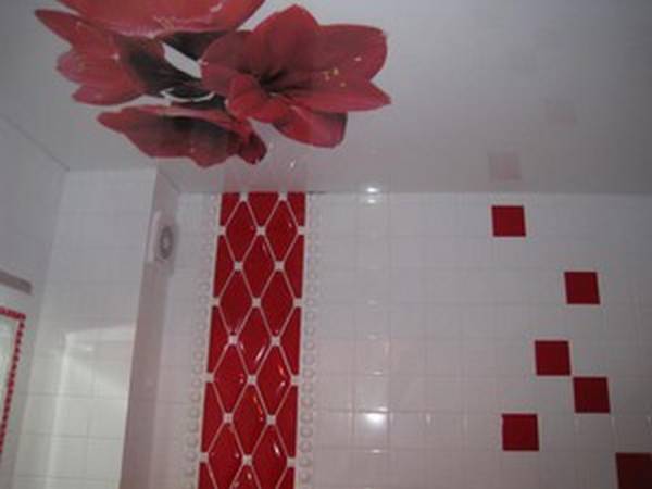 Фото натяжных потолков в ванной комнате - фото