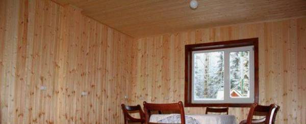 Варианты оформления низких потолков в деревянном доме с фото