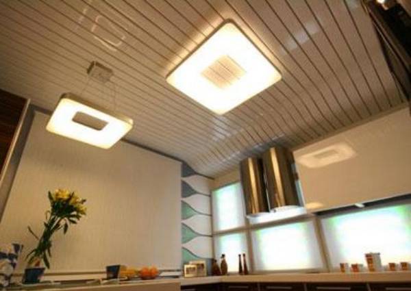 Применение панельных потолков на кухне с фото