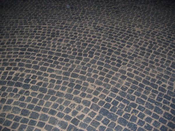 Тротуарный камень на дачном участке - фото
